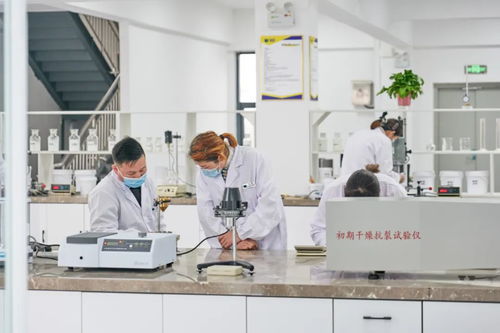 北方仿石漆龍頭 以技術(shù)筑基，筑價(jià)值壁壘